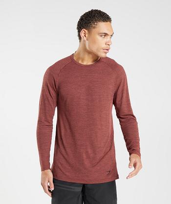 Long Sleeve Gymshark Retake Seamless Hombre Rosas Marrones Negras | CO 3490ZUT